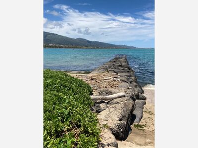 Last Call for Photo Contest Entries; due by Friday