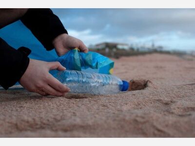 Volunteer Cleanup ~ Kahului Harbor ~ 7:30 a.m. Saturday