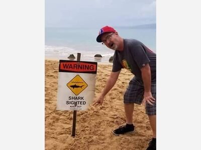 Study Finds Maui Shark Attacks Always Occur 100 Yards Offshore {NRL}
