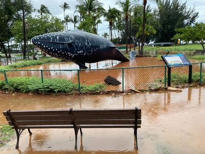 Maui County Continues to Dig Out of 'Kona Low' Storm