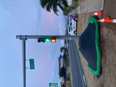 Mysterious Gigantic Hats Popping Up on Maui