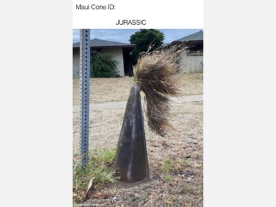 Maui Locals Team to Study, Name Unknown Number of Orange Safety Cones on Island